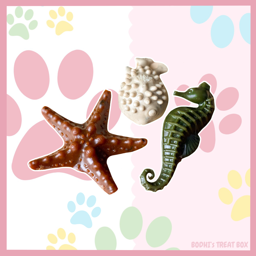 🐳 | Veggie Sea Creatures