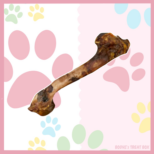 🦌 | Venison Deer Bones