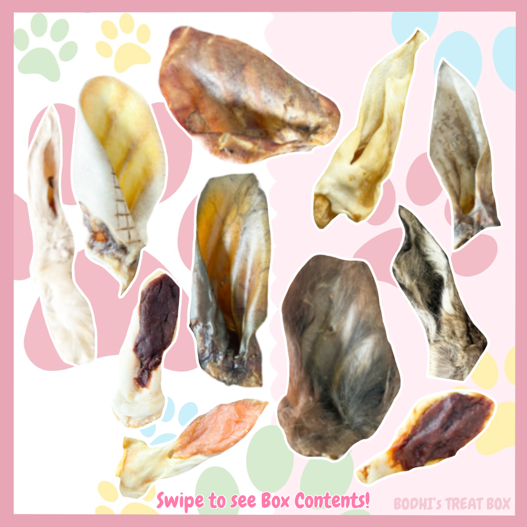💝 | ‘All About Ears’ Natural Dog Treat Box - (Contains 21 Treats!)