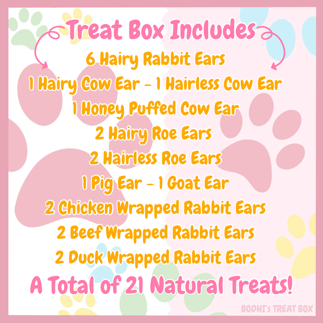 💝 | ‘All About Ears’ Natural Dog Treat Box - (Contains 21 Treats!)