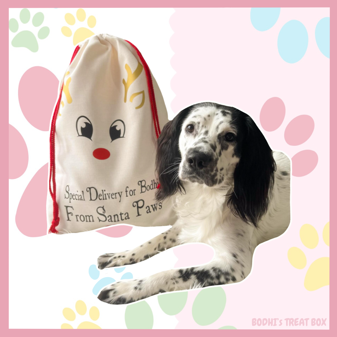 Large “Special Delivery From Santa Paws” Christmas Sack 🎄