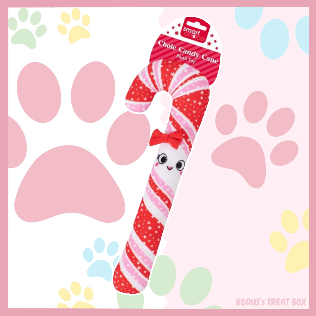 Chloe the Candy Cane 🎄| Large Squeaky Plush Dog Toy