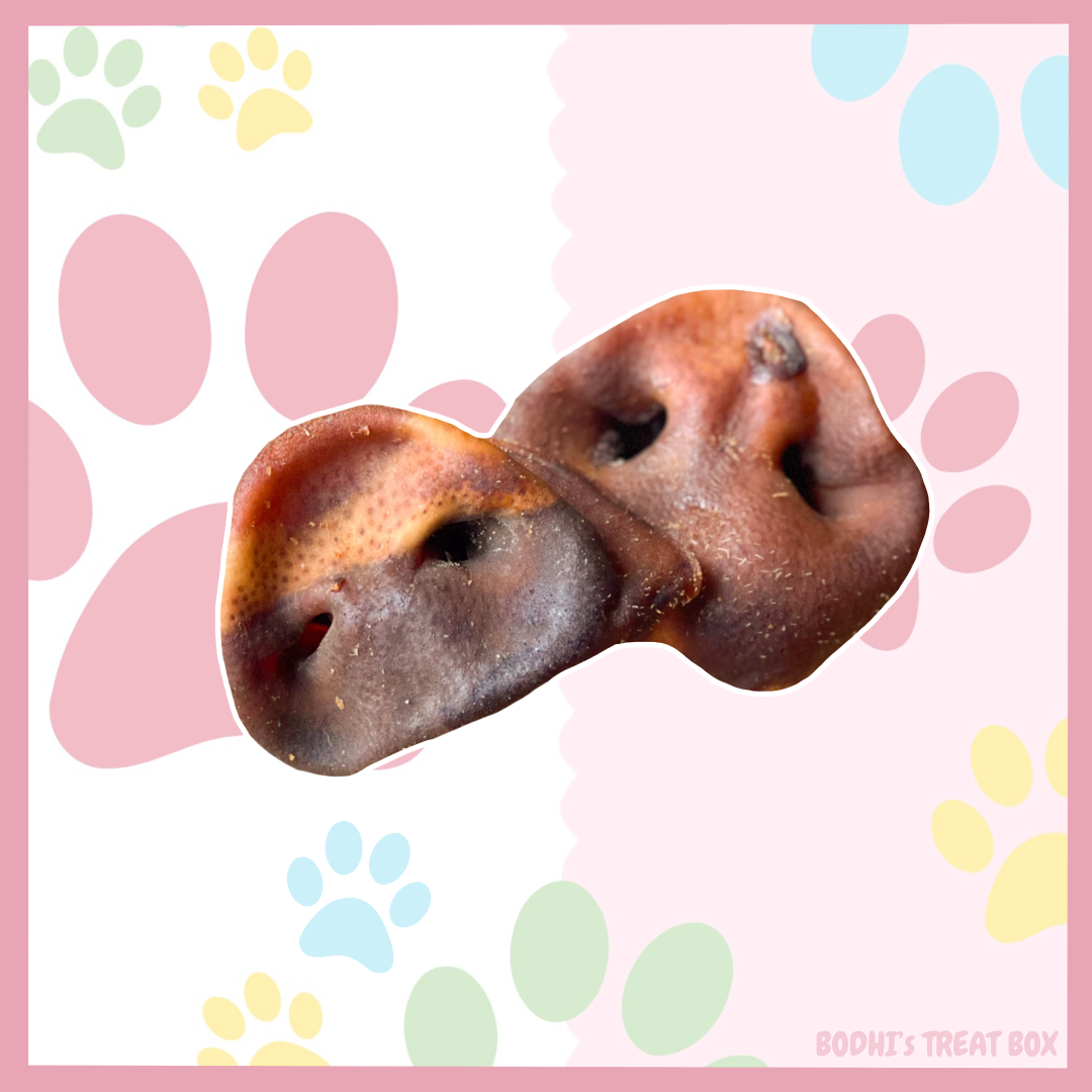 🐷 | Dried Pig Snouts