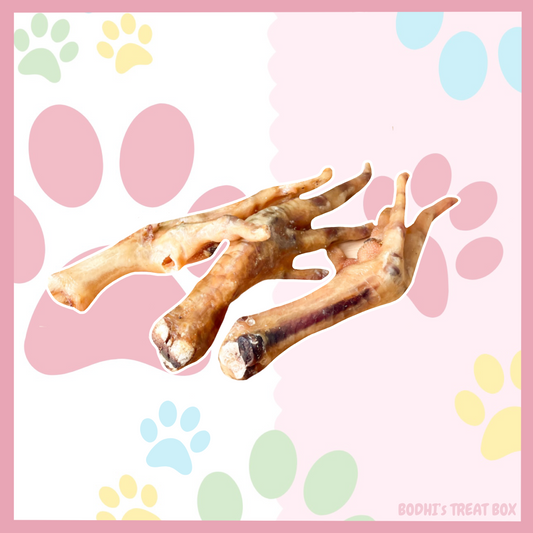 🐥 | Chicken Feet