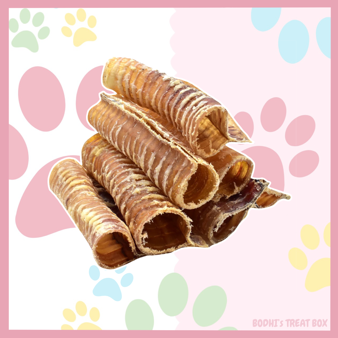 🐮 | 20cm Medium Beef Tracheas