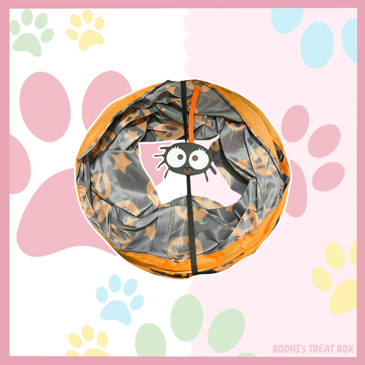 Orange & Black Spider 🕷️ Cat Tunnel