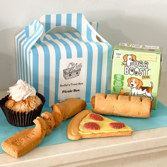 Picnic Box