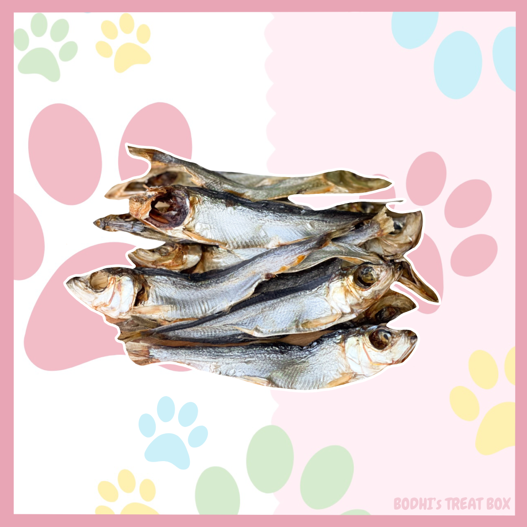🐠 | Herring Fish - 100g Bag