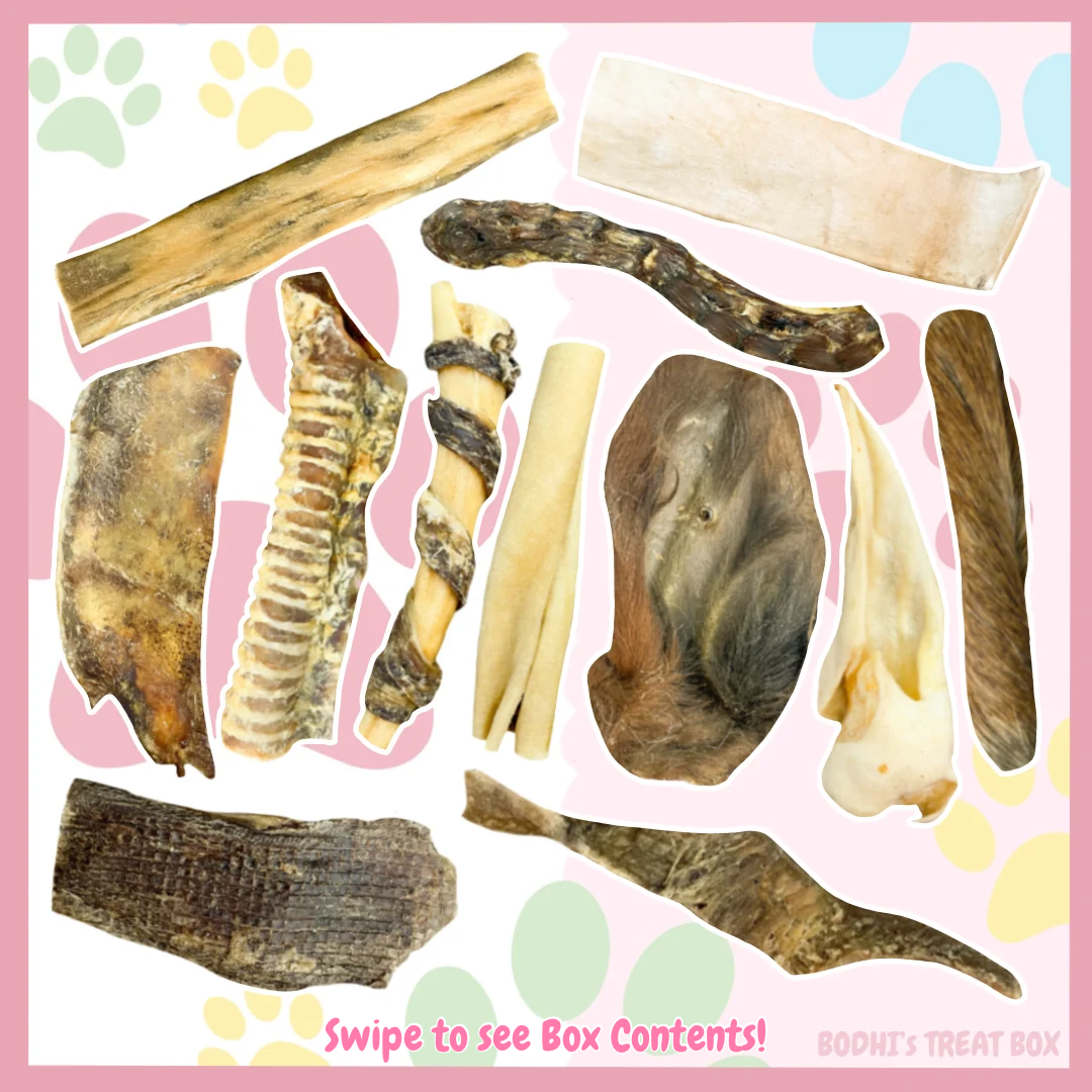 💝 | ‘The Chubby Puppy’ Low-in-Fat Natural Dog Treat Box - (Includes 19 Treats)