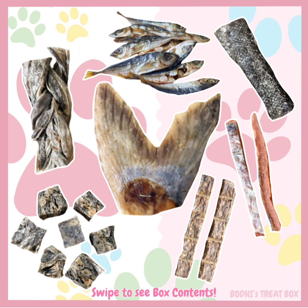 💝 | ‘The Big Fish’ Natural Dog Treat Box - (Includes 12 Treats + Treat Bags)