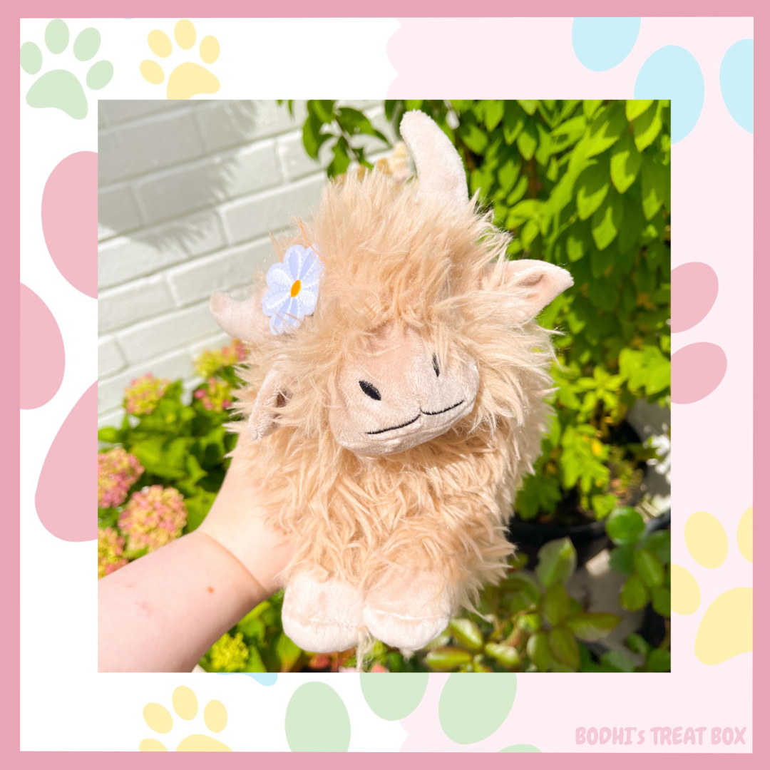 🐮 | Willow the Highland Cow - Cuddly, Squeaky & Crinkly Plush Dog Toy