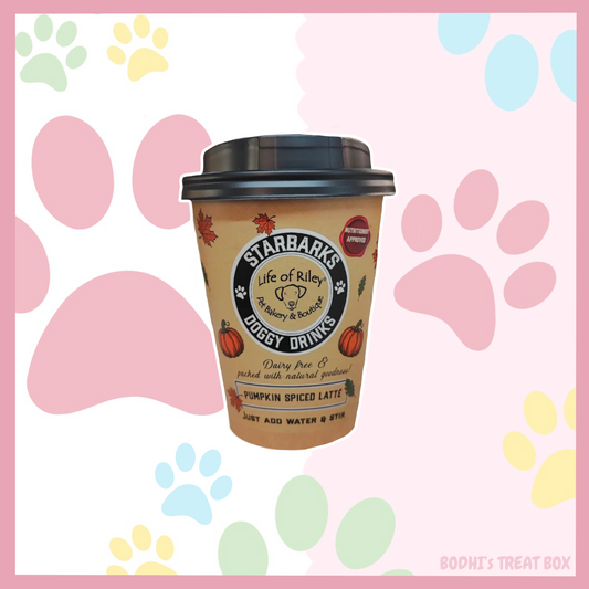 🐶 Doggy Pumpkin Spiced Latte