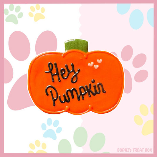 *Hey Pumpkin 🎃* -  Iced Dog Biscuit