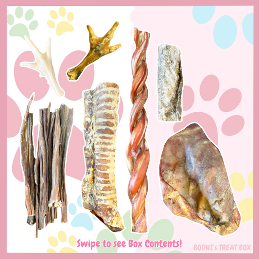 💝 | Natural Dog Treat Starter Bundle Box - (Includes 16 Treats)