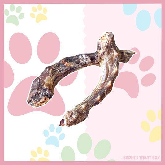 🐥 | Large Chicken Necks