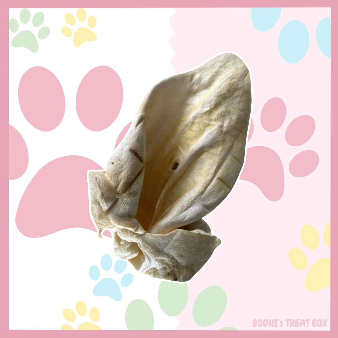 🐮 | Large Puffed Cow Ears