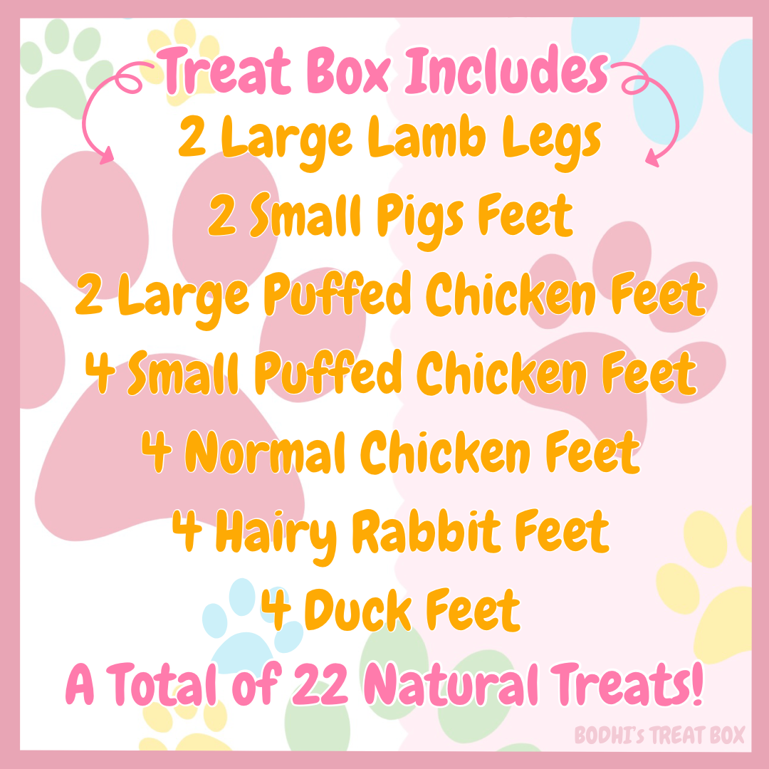 💝 | ‘Foot Fetish’ Natural Dog Treat Box - (Includes 22 Treats)