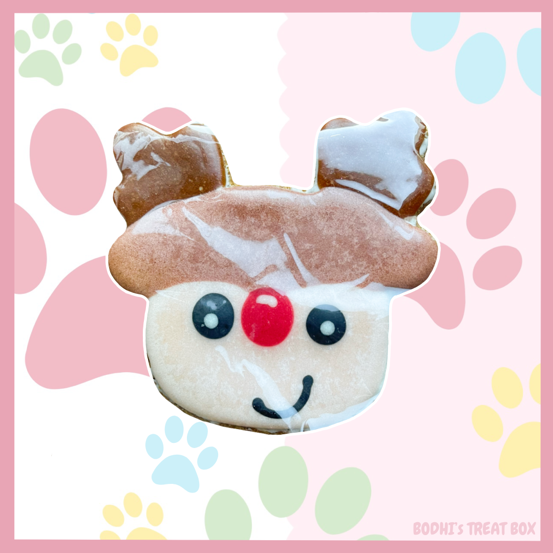 Large ‘Rudolph the Reindeer’ Iced Dog Biscuit 🎄| Nelson’s Treats