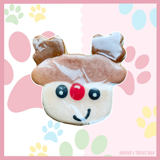Large ‘Rudolph the Reindeer’ Iced Dog Biscuit 🎄| Nelson’s Treats