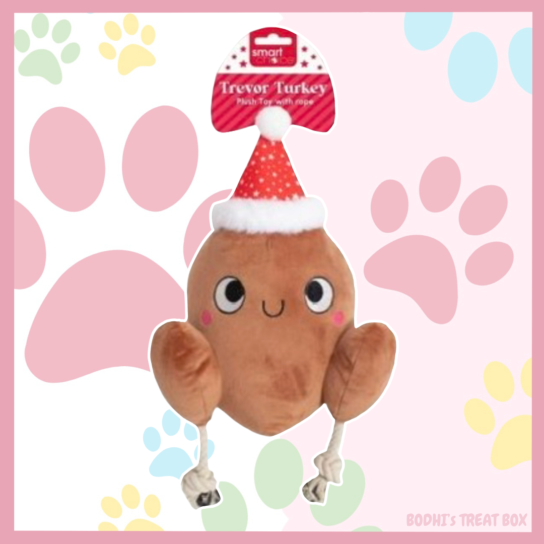 Trevor the Turkey 🎄| Large Crinkly Rope Dog Toy