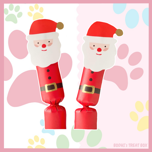 Santa Christmas Crackers 🎄| Dog & Cat Options Available