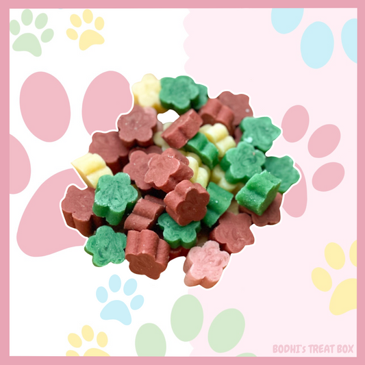 🍓🐶 | Bodhi’s Fruit Salad Mix - 100g Bag