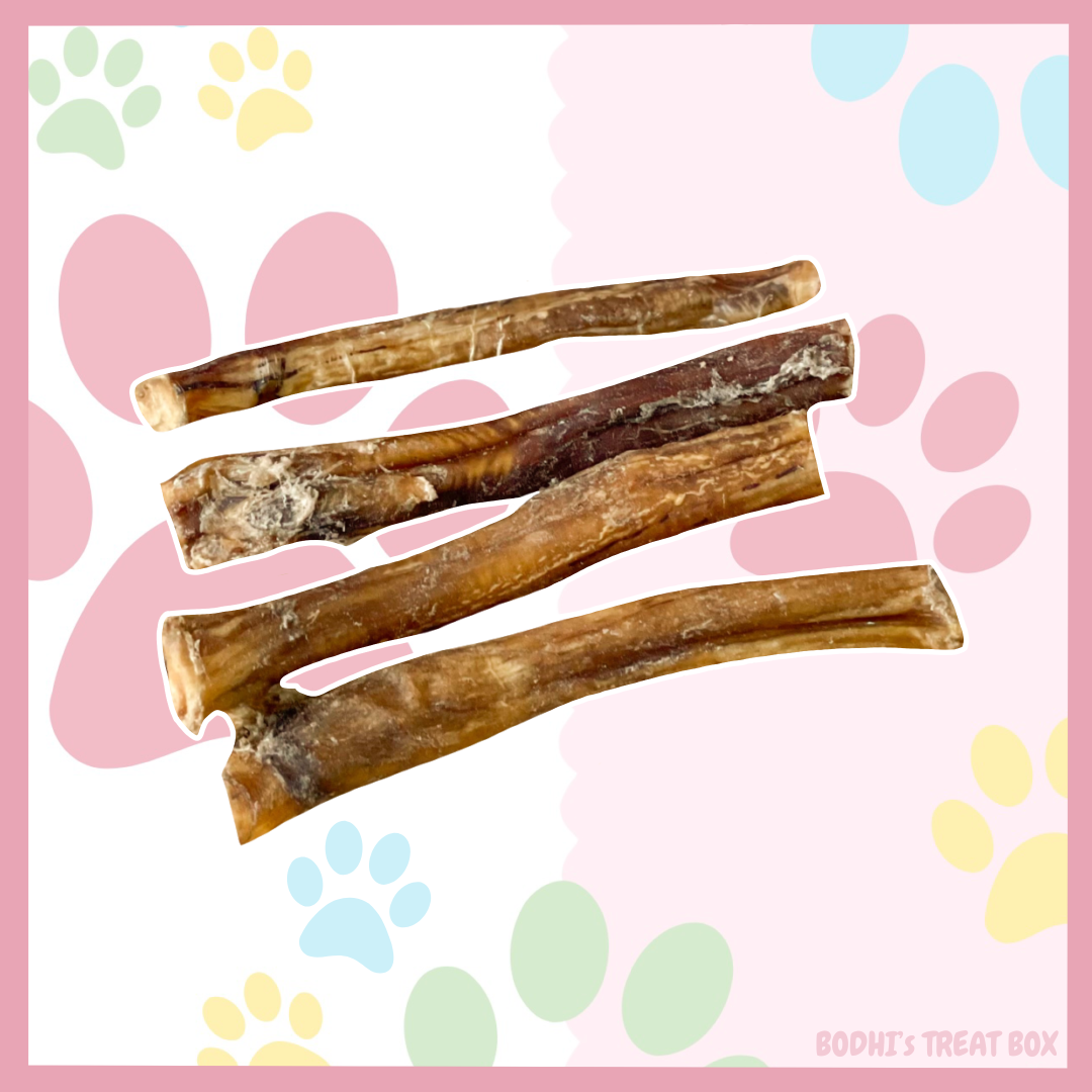 🐮 | Small Beef Bully Pizzle Sticks