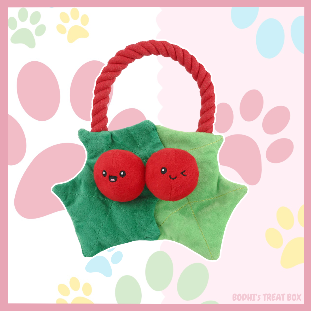 HugSmart Christmas Berry 🎄| Squeaky Plush Rope Dog Toy