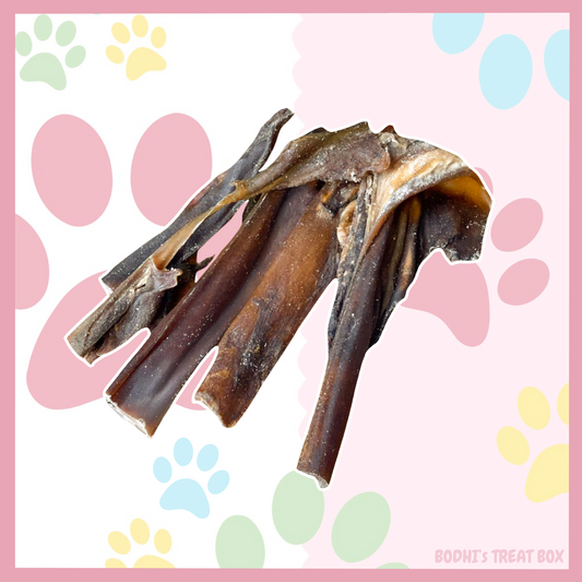 🐫 | Camel Skin Chews