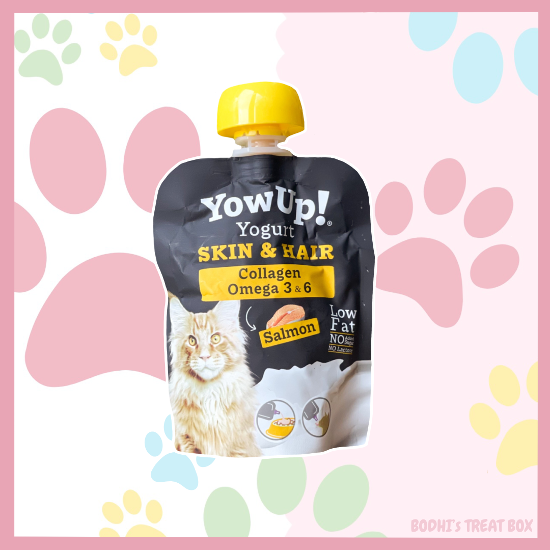 🐱 | YowUp! Skin & Hair Cat Yogurt