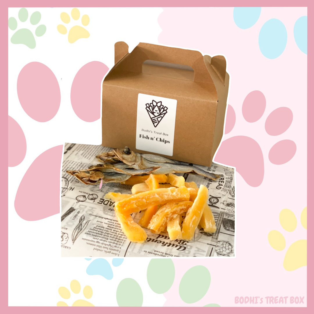 🐶🐟 | Bodhi’s Doggy Fish n Chips