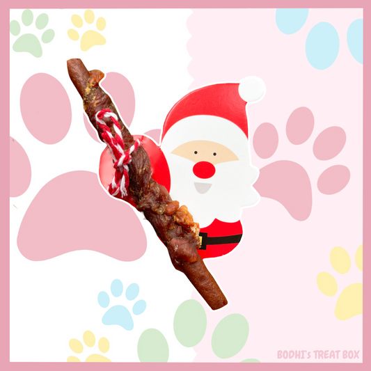 Santa holding a Carrot wrapped Duck Stick 🎄