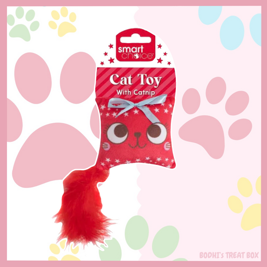 Christmas Present 🎄| Crinkly Catnip Cat Toy