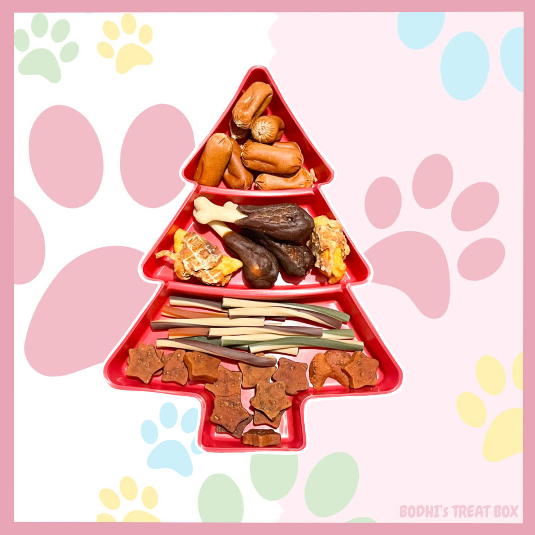 Bodhi’s Festive Red Christmas Tree Treat Tray 🎄