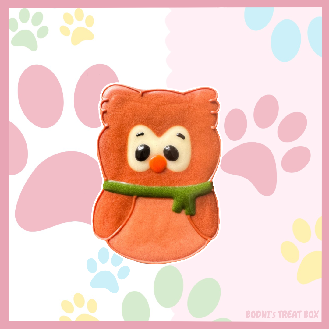 *Hoot The Owl* 🦉 - Iced Dog Biscuit