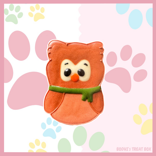 *Hoot The Owl* 🦉 - Iced Dog Biscuit