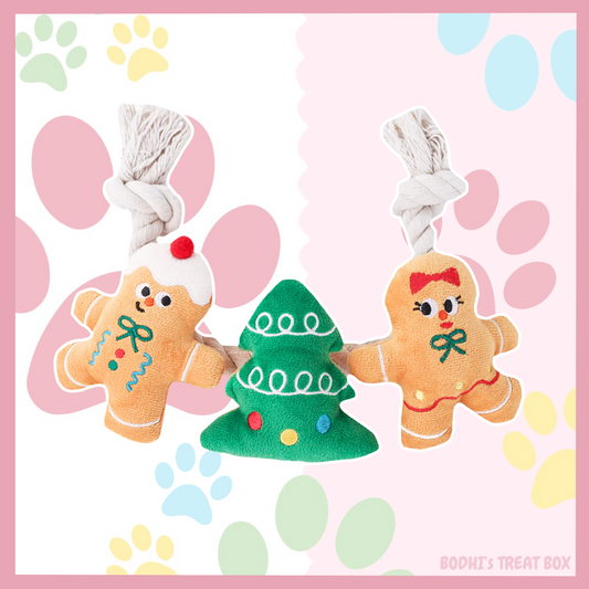 HugSmart Holiday Gingerbread Rope Toy 🎄