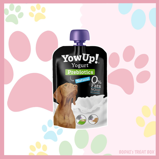 🐶 | YowUp! Natural Prebiotic Yogurt