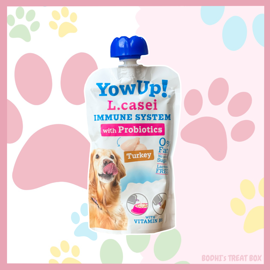 🐶 | YowUp! L.Casei Probiotics Yogurt