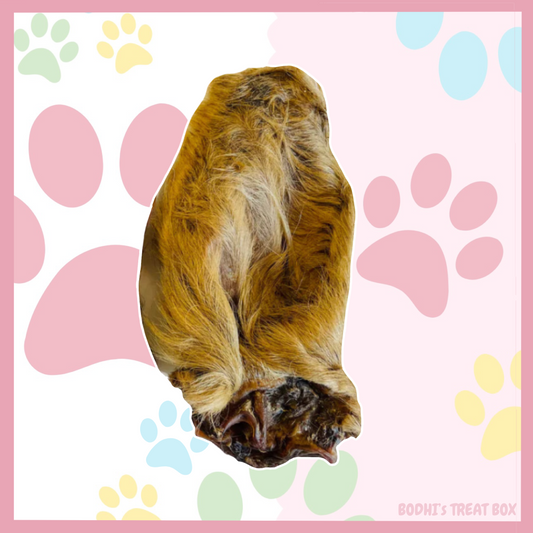 Hairy Cow Ears