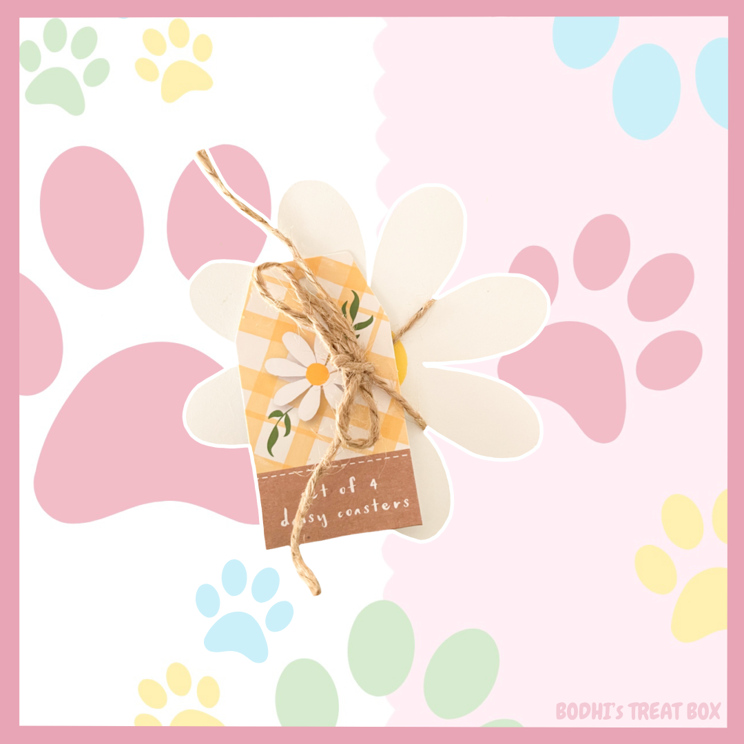 🌷 | Daisy Flower Coasters - 4 pack
