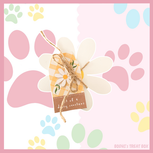 🌷 | Daisy Flower Coasters - 4 pack