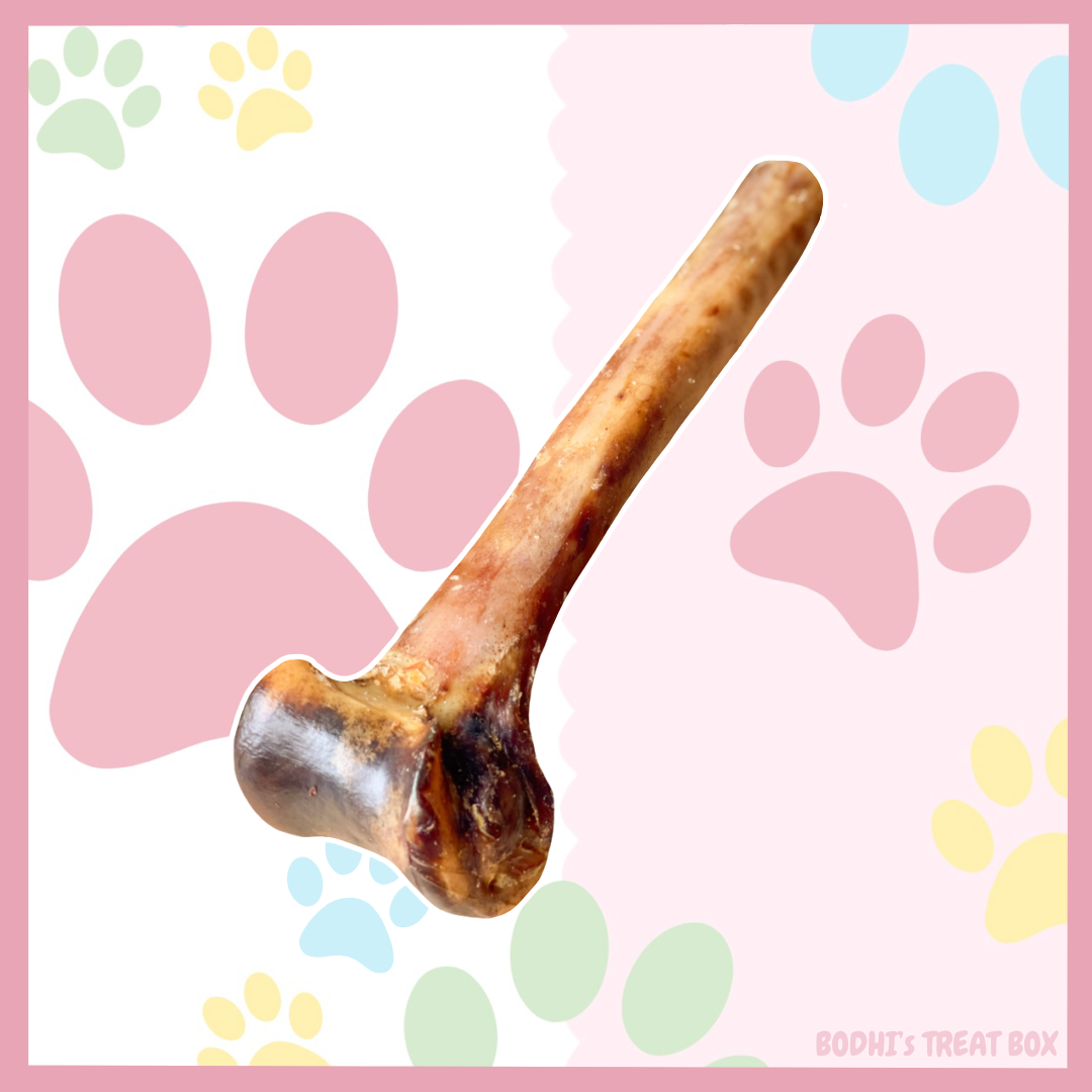 🦤 | Ostrich Bones