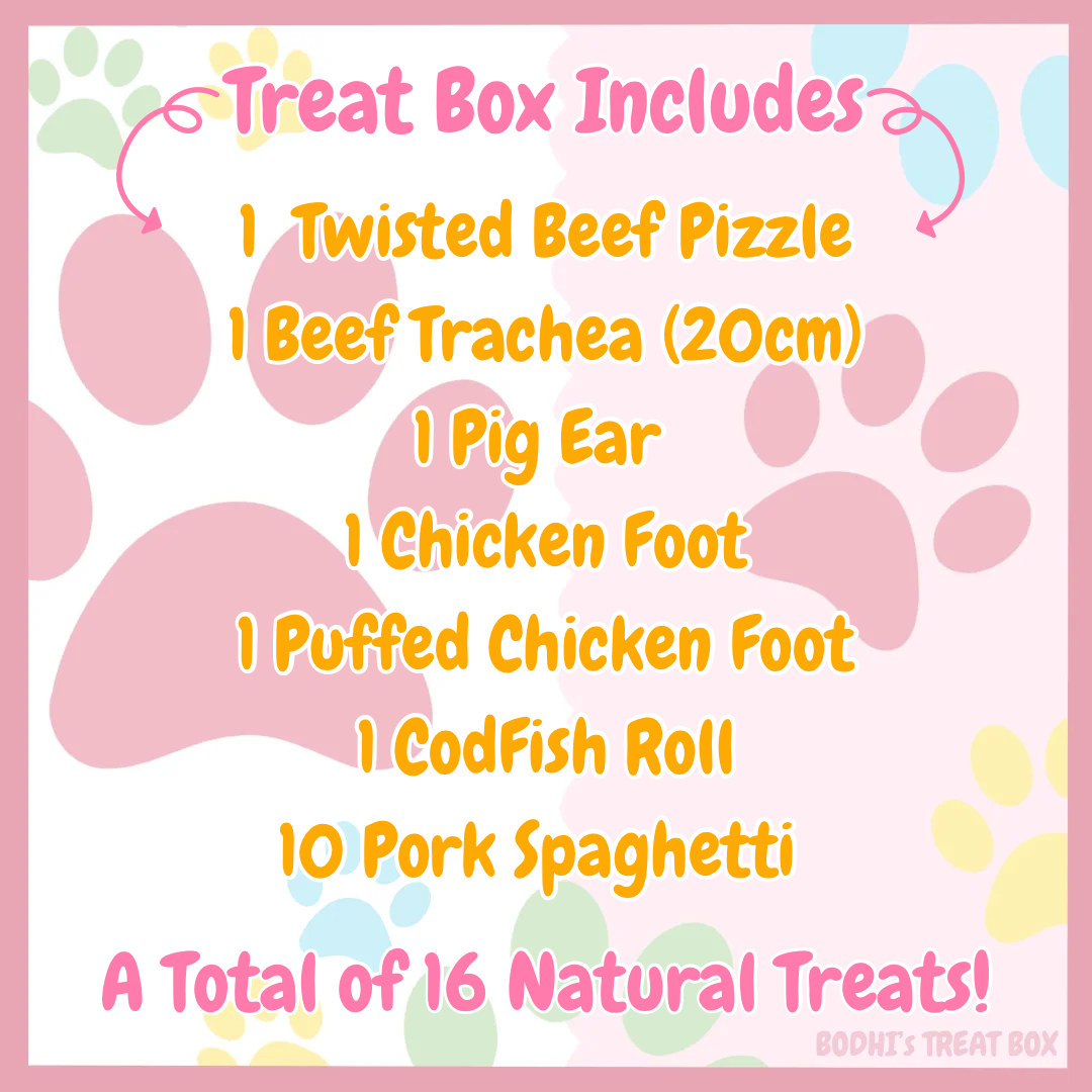 💝 | Natural Dog Treat Starter Bundle Box - (Includes 16 Treats)