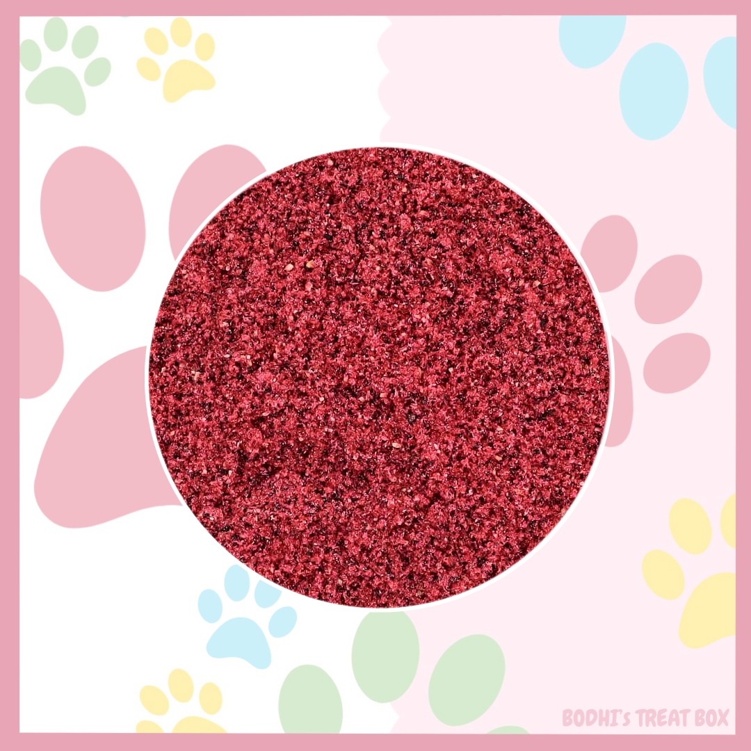 🐶 | Dragon Fruit Powder - (25g Bag)