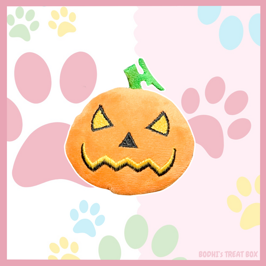 Pumpkin 🎃 Cat Toy