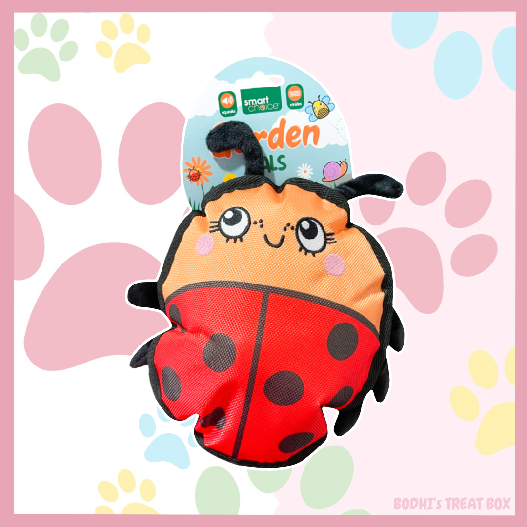 🐞 | Garden Pals Ladybug - Squeaky & Crinkly Dog Toy