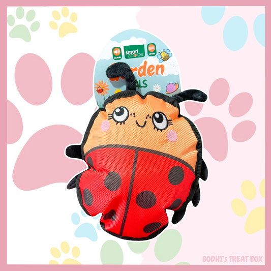 🐞 | Garden Pals Ladybug - Squeaky & Crinkly Dog Toy