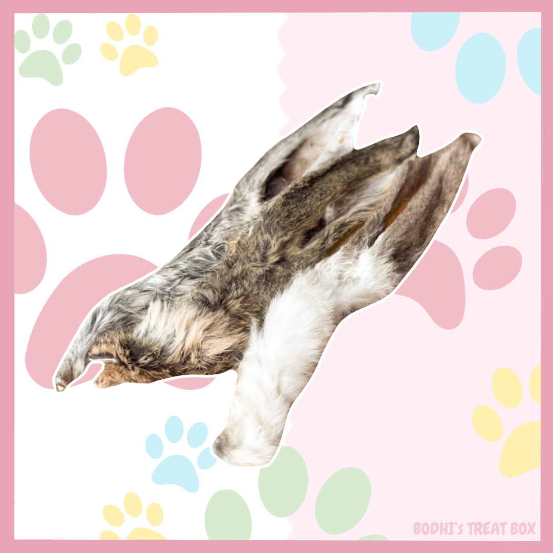 🐰 | Hairy Rabbit Ears