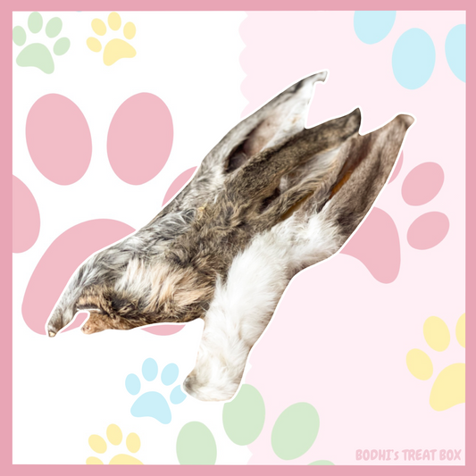 🐰 | Hairy Rabbit Ears